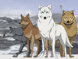 wolf's rain